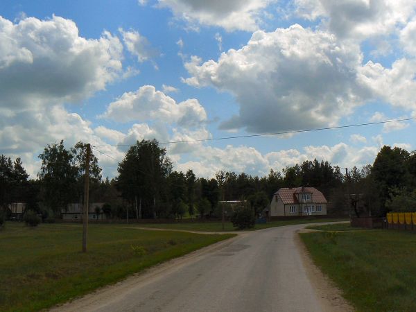 zdjecie Tyniewicze Duże