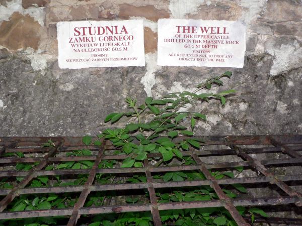 zdjecie Niedzica Zamek