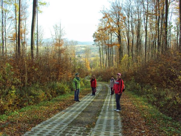 starczy powietrza na głęboki oddech i przestrzeni na odkrywcze włóczęgi - tu : Las Gonszczawa i do wsi schodzić będziemy, przed nami widokowa panorama na Pogórz