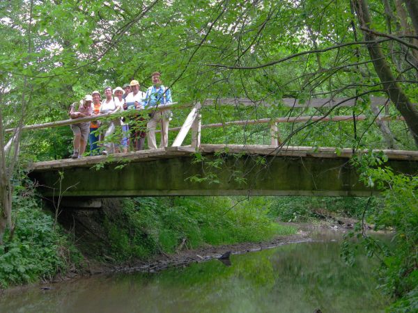 na mostku nad Tyrawką, to na linii brzegowej tego potoku ok. 12 /dwanaście/ lat temu znaleziono kły mamuta - postępiono zgodnie ze wskazaniami w tym temacie.