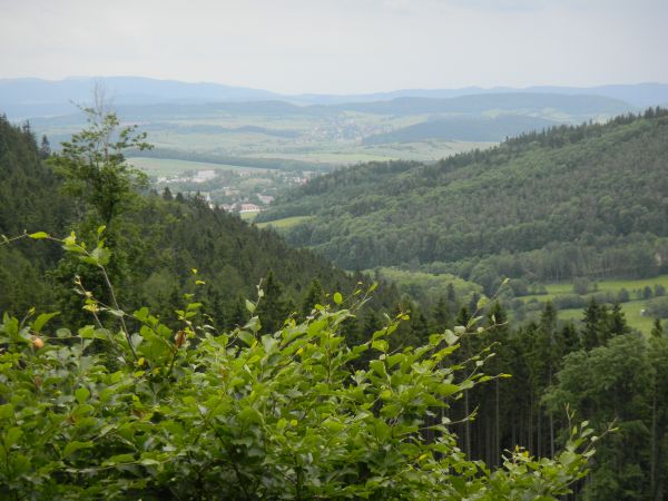 Zdjęcia Pisarzowice
