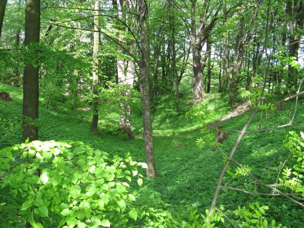 wały, fosy - kasztelan przemyski Mikołaj Herbut Odnowski, późniejszy wojewoda krakowski - w 1529 roku wzniósł pałac, później złupiony - zniszczony przez  wojska