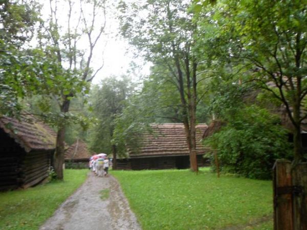w skansenie prezentowana różnorodna zabudowa wiejska - chałupy chłopskie i budynki gospodarcze, tam też zobaczyć można tartak, młyn, folusz oraz dwór szlachecki
