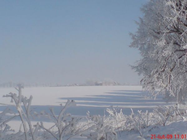 Zdjęcia Kiemławki Wielkie