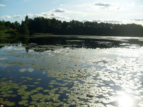 zdjecie Wołcza Mała