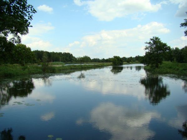 Tartak, widok na Okrzejkę z mostu