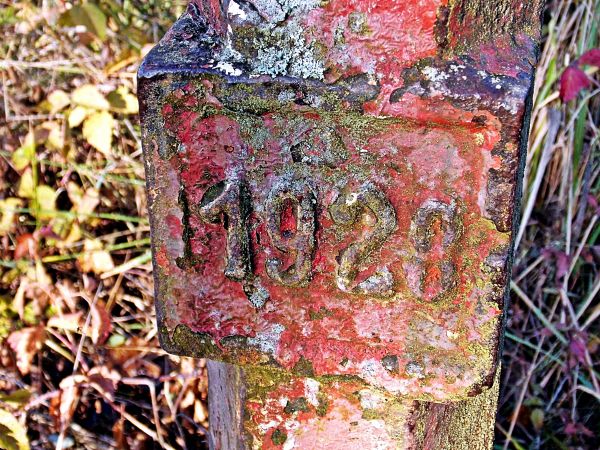 Silno k/Torunia  To żeliwny słupek z orłem,związany z historią tego miejsca...a mogiły również ,są jakieś 250 metrów dalej w lesie. Cała historia......w jednym