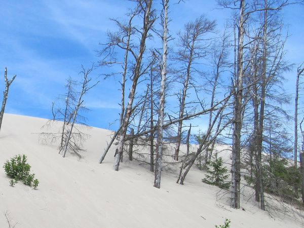 Ruchome wydmy przy Górze Rąbce