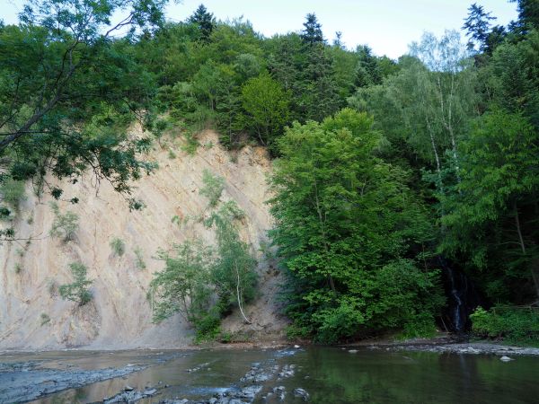 ongiś droga wiodła przez bród Wisłoka i ukosem w poprzek a dalej za gęstwiną  - n/z w dole po prawej - korzystając z topografii ukształtowania terenu - wąwozu i
