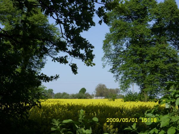 zdjecie Chocicza Mała