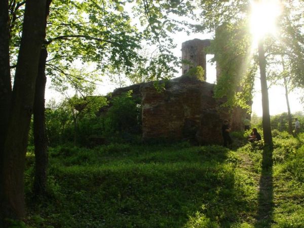 Ruiny zamku  Firlejow z XVII w., pozniej w rekach roznych rodow.