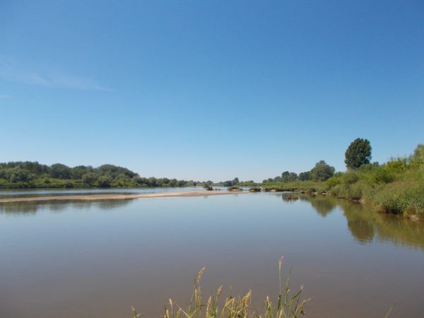 "ALTISSIMA QUAEQUE FLUMINA MINIMO SONO LABUNTUR"