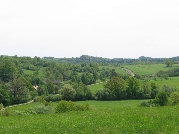 skręcamy w kierunku lasu Dił  - widok mamy na centrum wsi, łąki, zagajniki, śródpolne remizy - a za górą Niebieszczany  /centrum tej wsi winno się pisać przez d