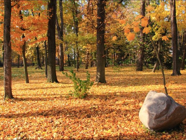 Klasztor i park  ss. Niepokalanek na Głębokiej.