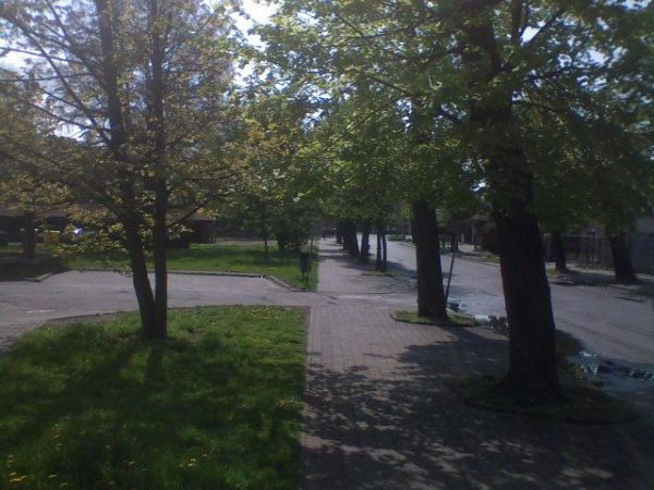 zdjecie Sulechów