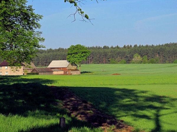 Jedno z kilku gospodarstw