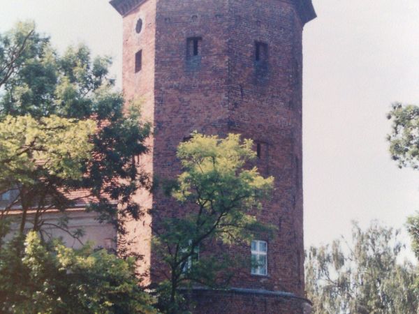 Zamek z pierwszej połowy XIV wieku, wybudowany przez Maćka Borkowica, murowany z cegły, tynkowany z wyjątkiem wieży.