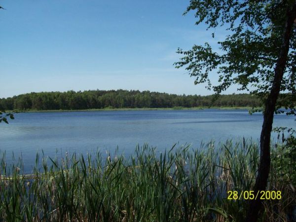 „Święte Ługi”,