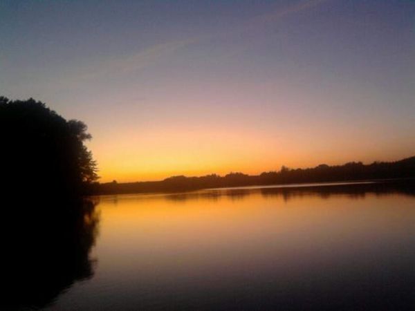 zdjecie Niedźwiedź