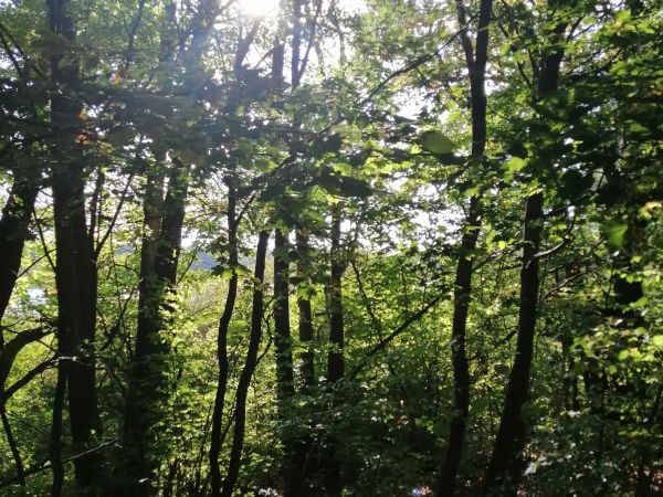 Nabrzeże j. Drwęckie