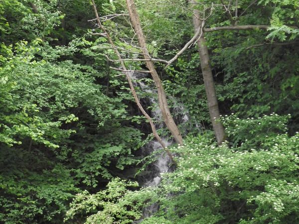 wodospad zasilający urokliwy Wisłok, ale i on sam uroku pełen - a przypominam, że tu kiedyś nasz późniejszy papież bywał - jako kleryk, jako ksiądz.