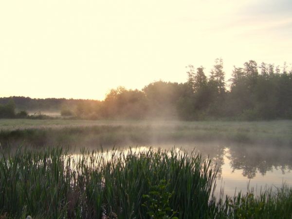 Łąki marusańskie o świcie