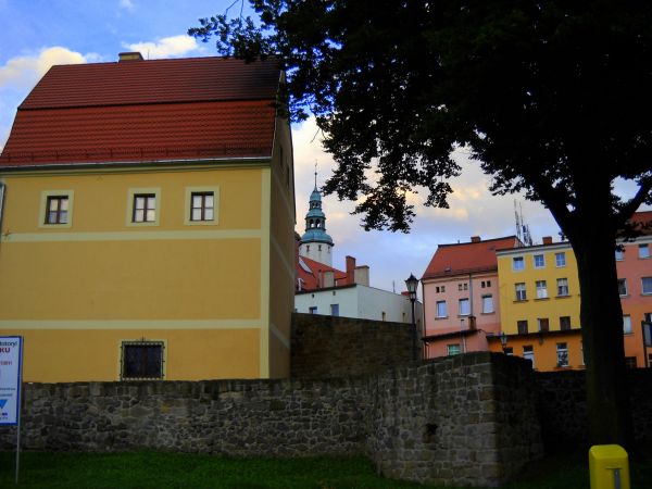 Muzeum powstało w lipcu 1978 roku z inicjatywy społecznej i przy pomocy władz miasta Złotoryi. Siedzibę muzeum stanowi budynek przy ul. Zaułek 2 wybudowany w