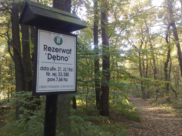 Rezerwat  "Dębno"