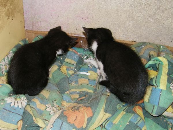 no i co tam się dzieje jednym słowem