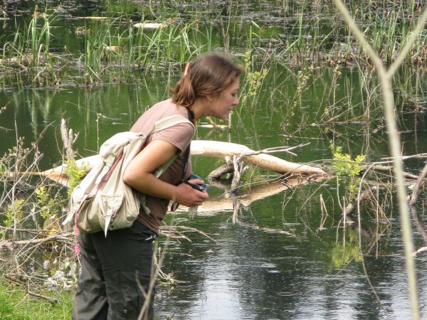 bóbr wyskoczy i porwie i nie puści i tata płakał będzie - a nawet chórem, wszyscy rajdu uczestnicy - a ciszę zachować trzeba !