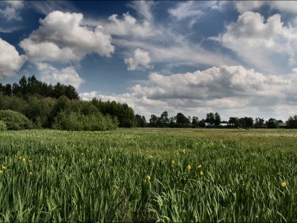 zdjecie Tyniewicze Duże