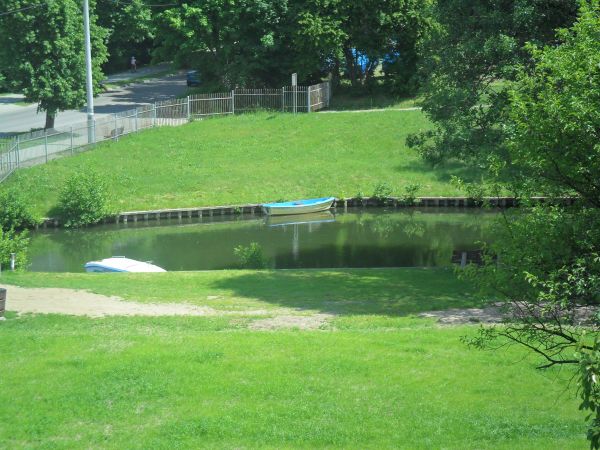 Widok za domkiem z bezpośrednim zejściem do kanału. Polecam dl TYCH KRÓŻY CENIĄ SOBIE PIĘKNE WIDOKI ORAZ CISZĘ