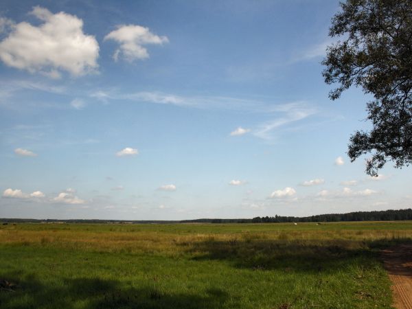 zdjecie Tyniewicze Duże