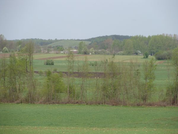 Najbliższa okolica:)