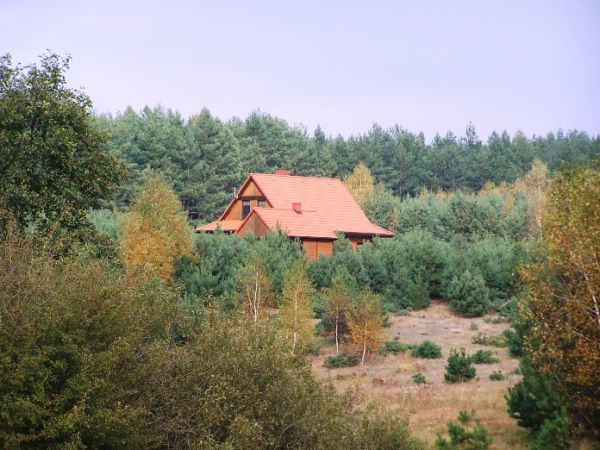 Leśne Siedlisko w jesiennej szacie