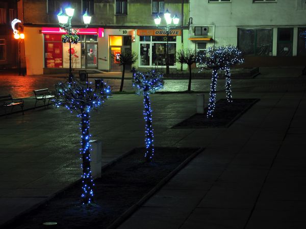 zdjecie Wodzisław Śląski