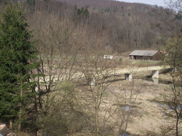 most nad Sanem i wiele śladów bytności / żerowania bobrów.