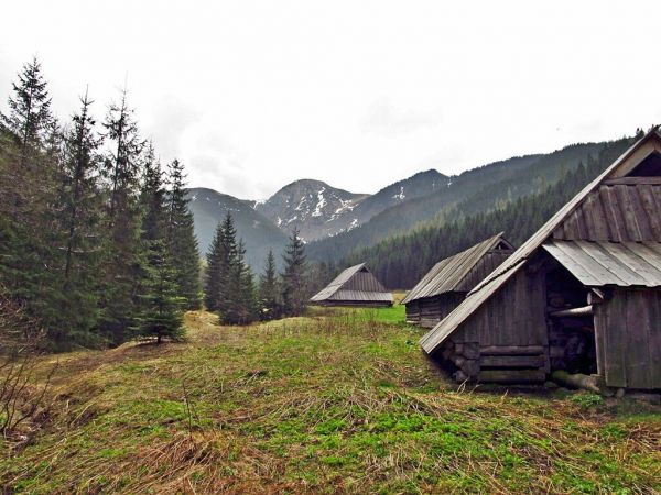Na Polanie Jaworzynka