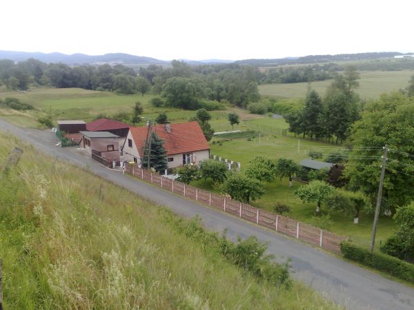 Zdjęcia Gołogłowy