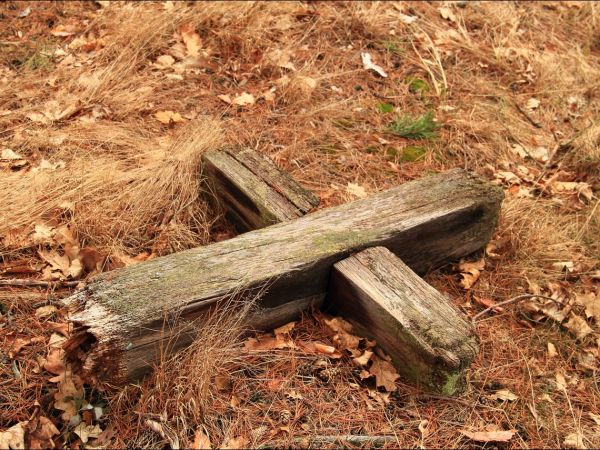Stary cmentarz greckokatolicki przy cerkwi w Mołodyczu. Obecnie używany sporadycznie .