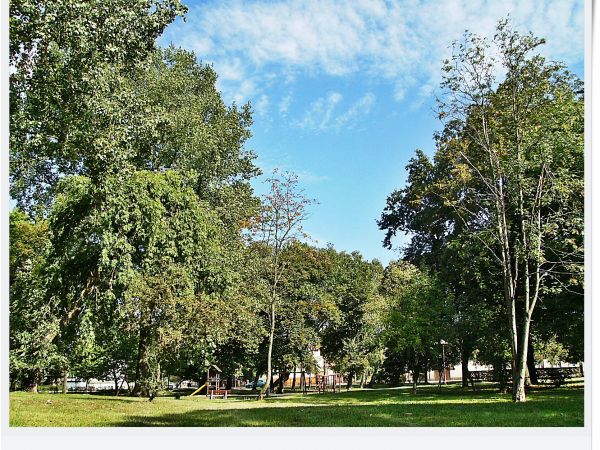 Sulechów- plac zabaw w parku