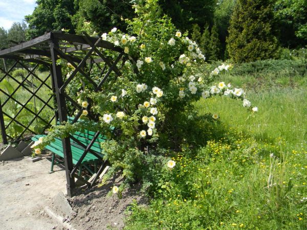 Lublin - Ogród Botaniczny