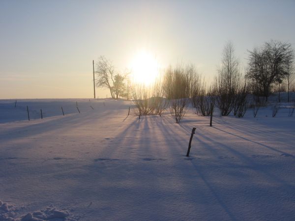 Pierwsze lutowe słońce:)