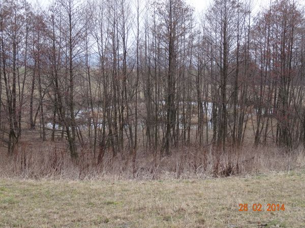 tam to bobry rządy sprawują a że pod ochroną, to my tylko tak z daleka...