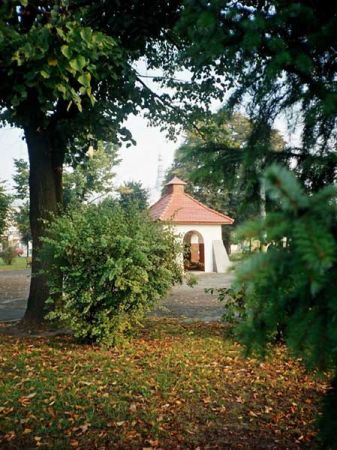 Zabytkowa studnia na rynku kolbuszowskim