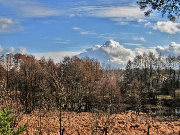 Łąki nad rzeką Wdą położone poniżej budynku Urzędu Miasta