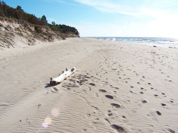 Dzikie plaże...