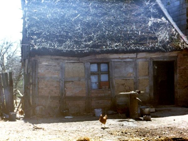 DOM MARTENKI POTEM MUSZYŃSKICH