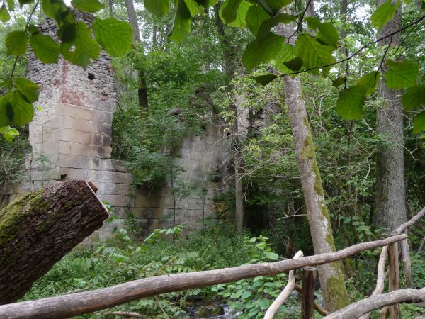 "CZARTOWE POLE"    Ruiny papierni