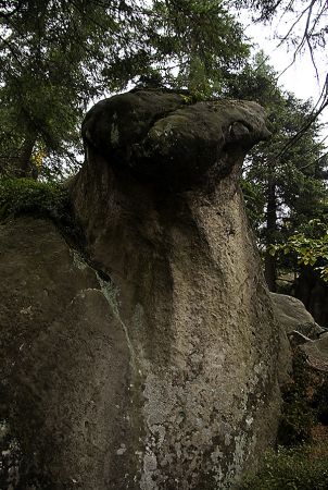 Radków-Góry Stołowe , Szczeliniec Wielki